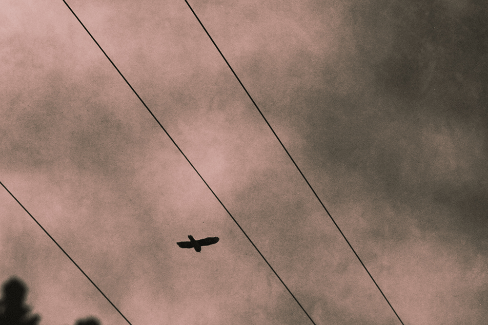 E-_Arte_barby_sabato_1 piea_IMG_1429