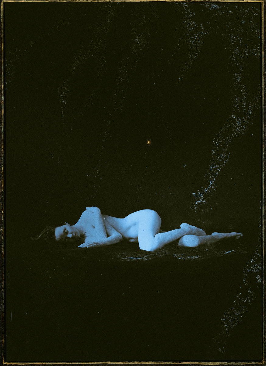 Nephila - collab Bar x Lenni